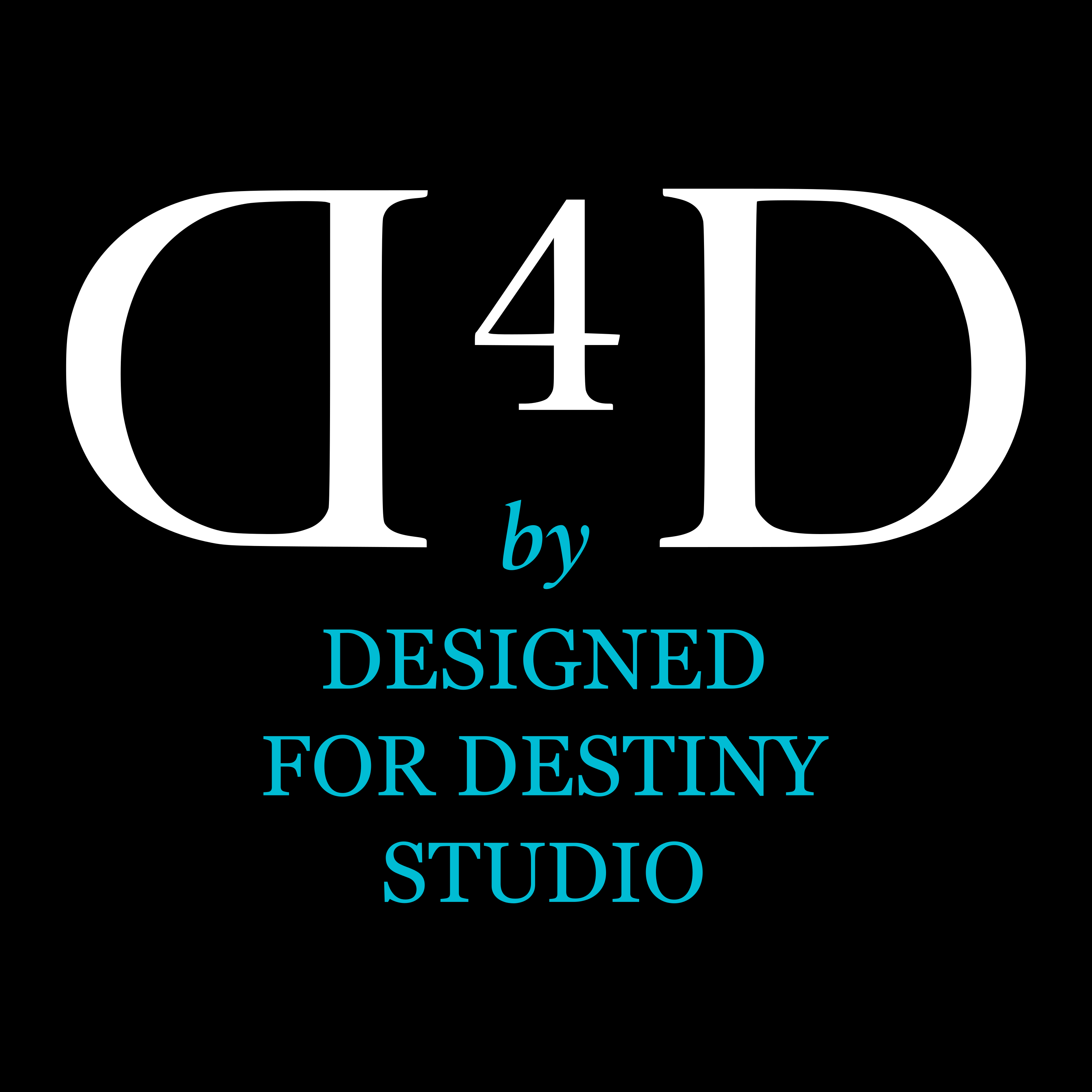 D4D Studio logo placeholder